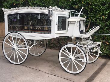 Elegant white Horse drawn hearse