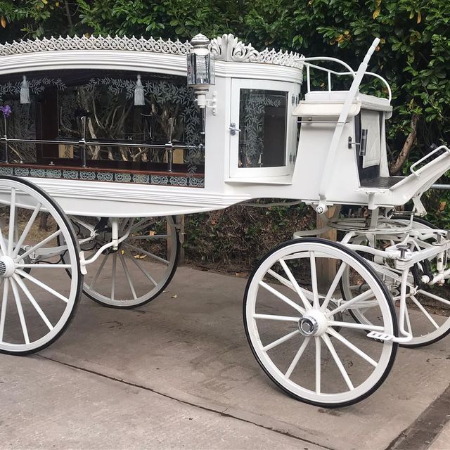 Elegant white Horse drawn hearse