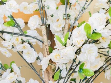 Funeral flowers set-up 