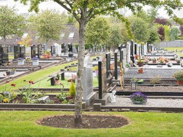 A Dublin graveyard 